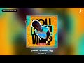 You dey feel the vibe (Amapiano remix) ft Nana Yaw Ofori Atta (DJ JaySmoke)