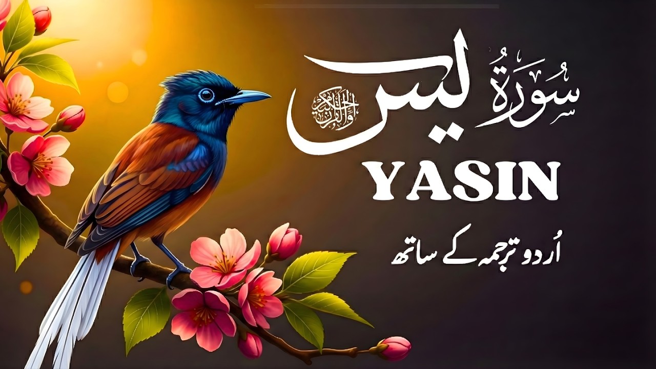 Surah Yaseen Surah Yaseen With Urdu Translation Episode 193 - YouTube
