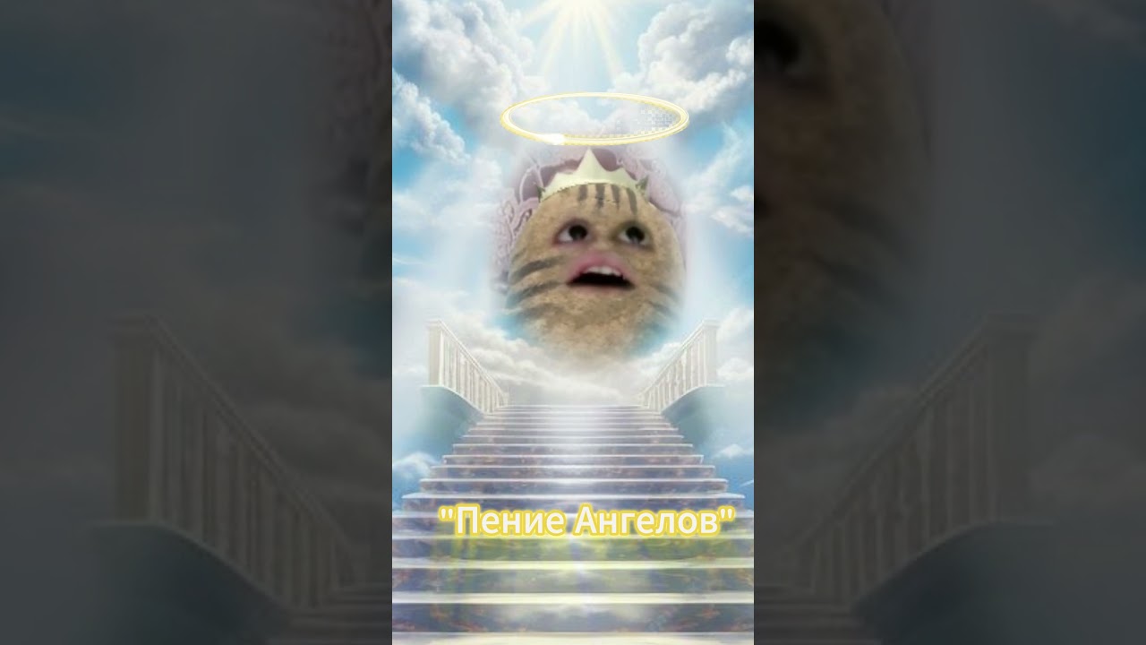 Юи и Голуби 