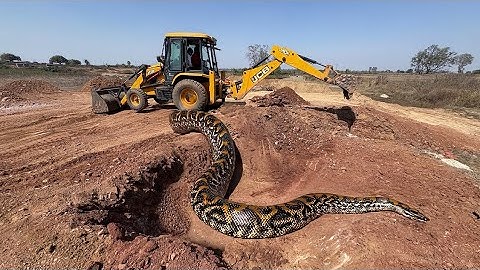 JCB khudai work JCB 3dx Backhoe fully Loading Mud in Mahindra 475 #jcb #jcbvideo #farming