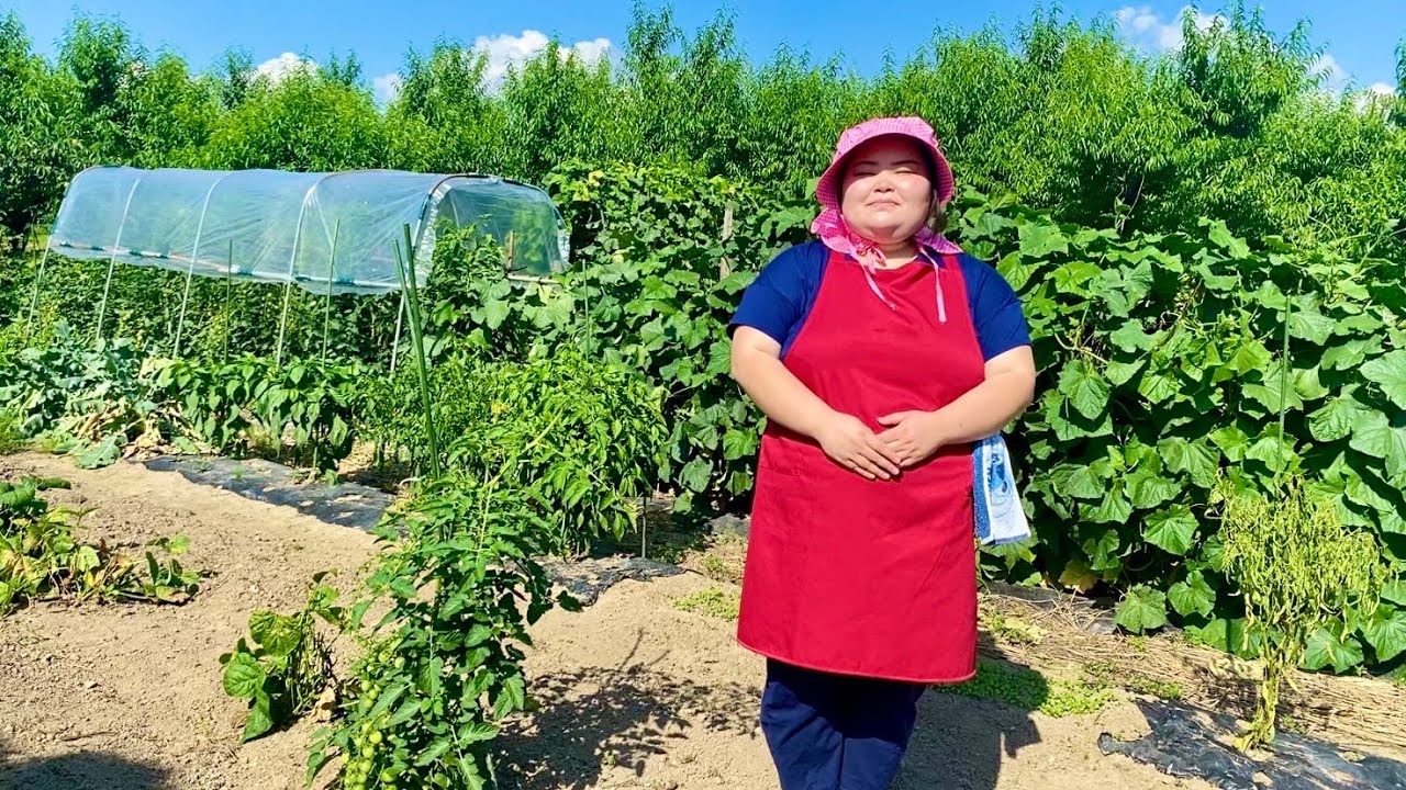 【農家が歌う】You Raise Me Up - Celtic  Woman 【視聴者さんコラボ】鈴木詩織