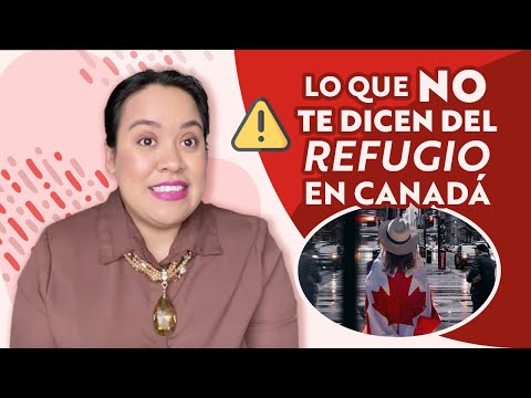 Video: Legislación específica sobre la raza de Montreal puesta en espera