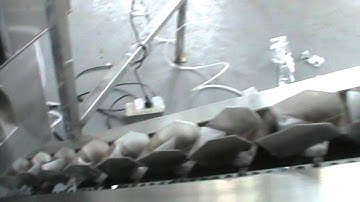 pyramid tea bag packing machine with string,tag and overwrap