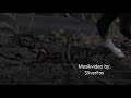 ||C A N YOU S E E THE D A R Ķ?||Mini modellpferde Musikvideo! ^-^