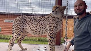 Gerda knows everything about cheese! Italian, Russian and Lithuanian Parmesan and cheetah' choice.