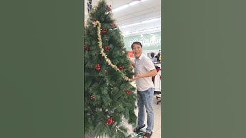 Cây thông noel nhỏ, vừa và khổng lồ #shorts #funny