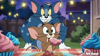Tom And Jerry Ep3 Backyard Cupcake Chaos Hilarious Chase With Tom, Jerry Funny Cartoon 2025