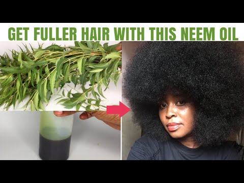 Homemade Neem Hair Oil for Hair growth Grow Long Hair with Neem Oil for  Dandruff Head Lice  YouTube