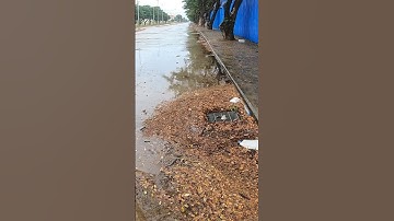 Remove Debris Clogged Drain After Rain #unclog #clean #culvert #shorts