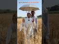 पुराना जमाना मे मालिक और गरीब #shorts #shortvideo #comedyvideo