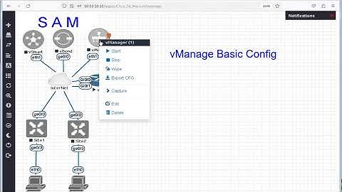 vManage First Setup