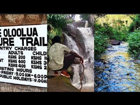 PLACES TO HIKE IN KENYA OLOOLUA NATURE TRAIL IN KAREN NAIROBI