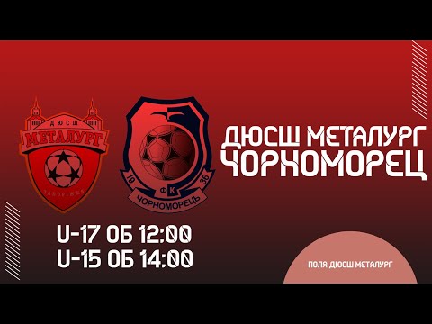ДЮФЛУ (U-17, U15)