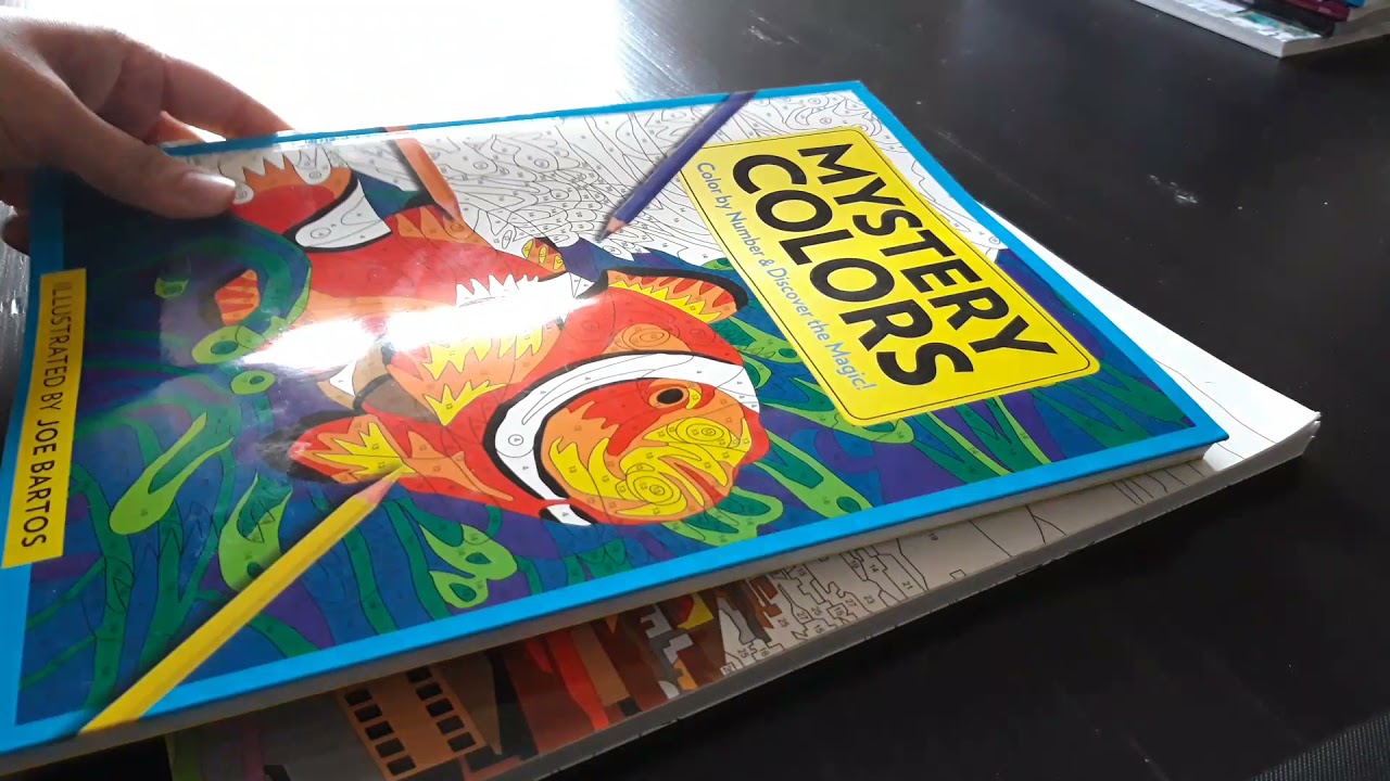 UNBOXING AND FLIP THROUGH - COLOR BY NUMBER ADULT COLORING BOOKS - INDIAN COLOURIST