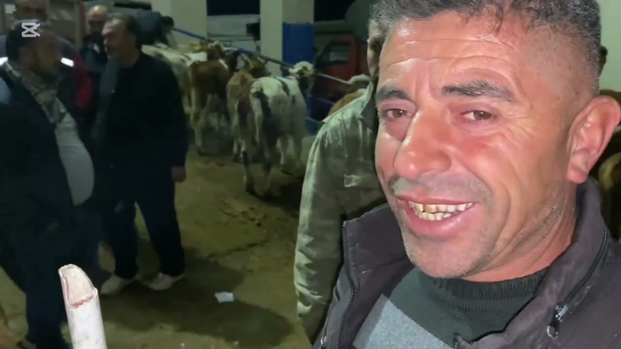 BOĞAZLIYAN CANLI HAYVAN PAZARI .!!! O Kadar kalabalıkki Kebapcı yok sattı TOSUN DÜVE İNEK CAMIZ