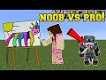 Minecraft: NOOB VS PRO!!! - PIXEL PAINTERS! - Mini-Game