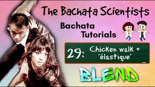 Learn Bachata, Tutorial 29: Chicken walk and 'élastique' (advanced BachataBlend)