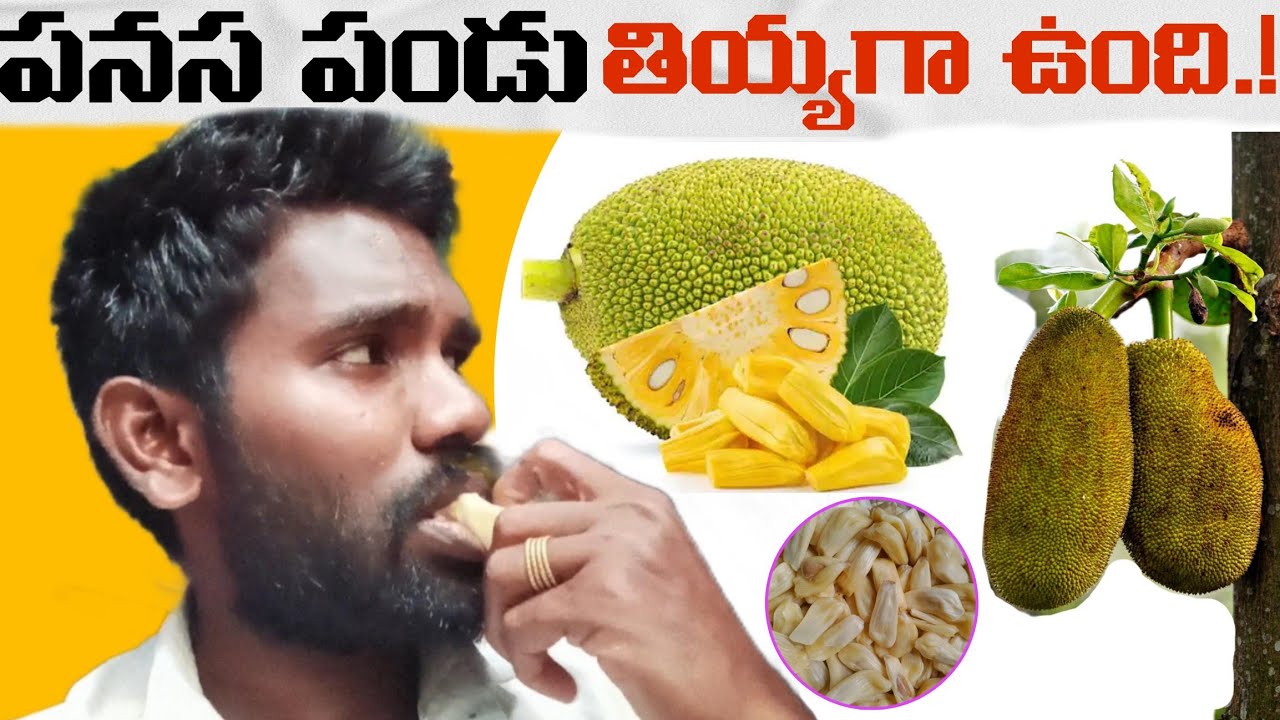 అడవిలో నుంచి తెచ్చిన పనస పండు | Jack Fruit Vlog | Reethik Dailylife