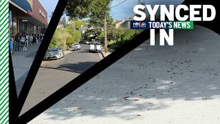 In the news: Trail of blood, home invasion, viral Trader Joe's tote bags