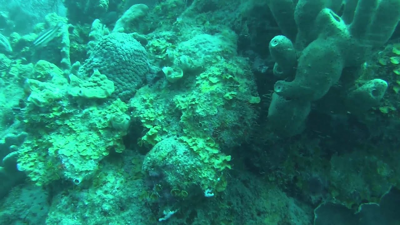 25 juillet 2015, Tedran