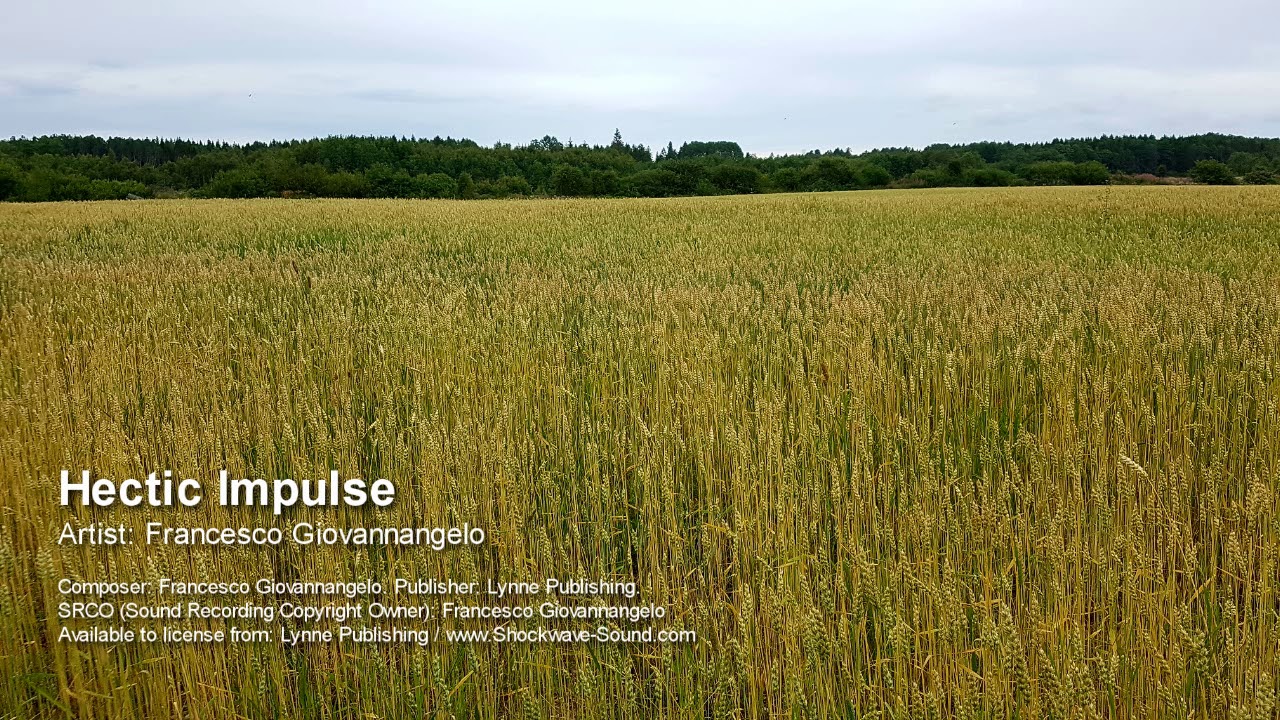 Hectic Impulse Francesco Giovannangelo Lynne Publishing