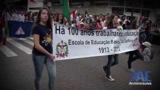 E.e.b. Luiz Delfino - Desfile 07 De Setembro Hd