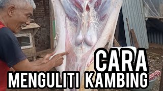 cara menguliti kambing, mengambil jeroan dan melepas daging oleh Pak Cucu - Kendal