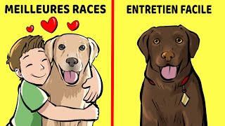 10 Meilleures Races De Chiens Pour Les Enfants Et Les Familles