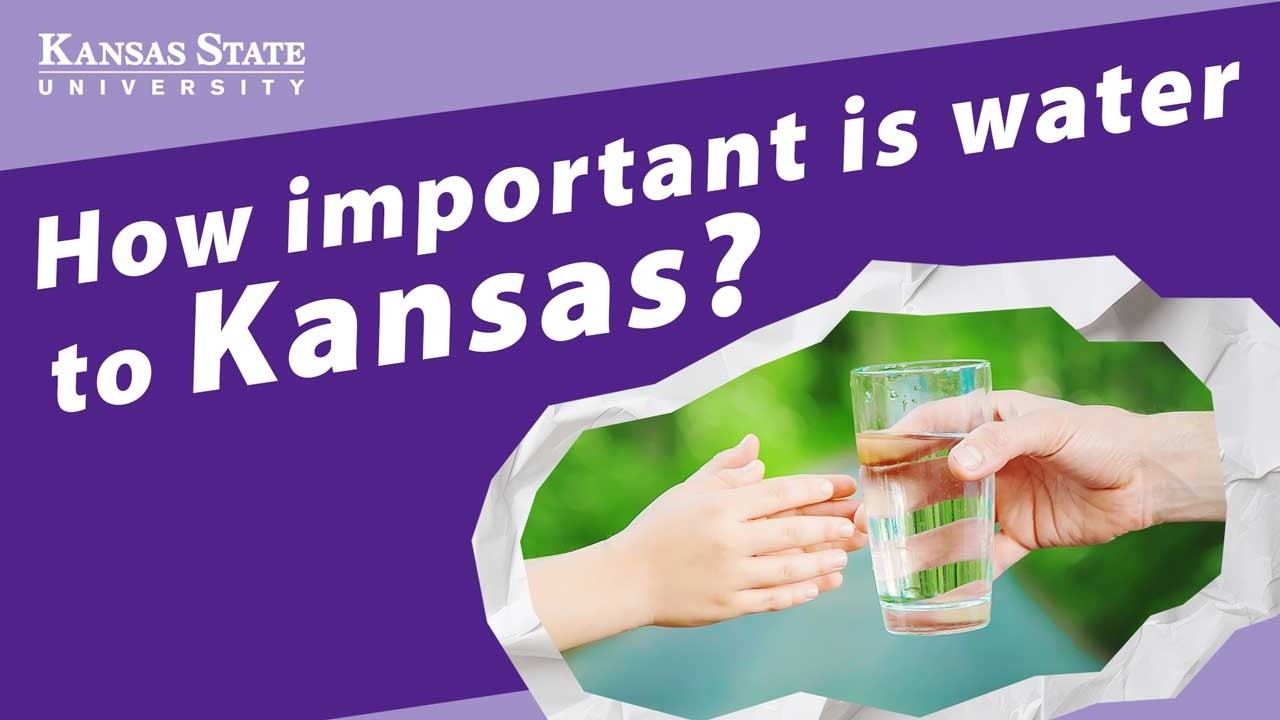 Вода играет роль во всем | Сьюзан Метцгер