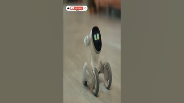 Meet Loona - The most Intelligent Petbot