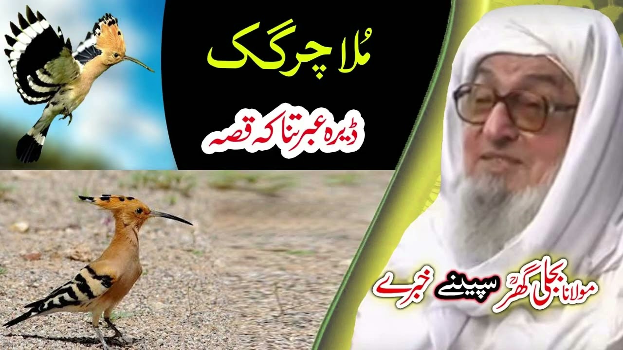 یو ملا چرگک  قصہ    Molana Bijligar   رحمۃاللہ علیہ