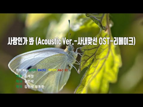 [은성 반주기] 사랑인가봐(Acoustic Ver.-사내맞선OST-리메이크) - 김세정