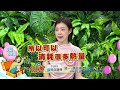 WTO姐妹會 2026-05-20預告 別搶塑膠袋!環保不要走回頭