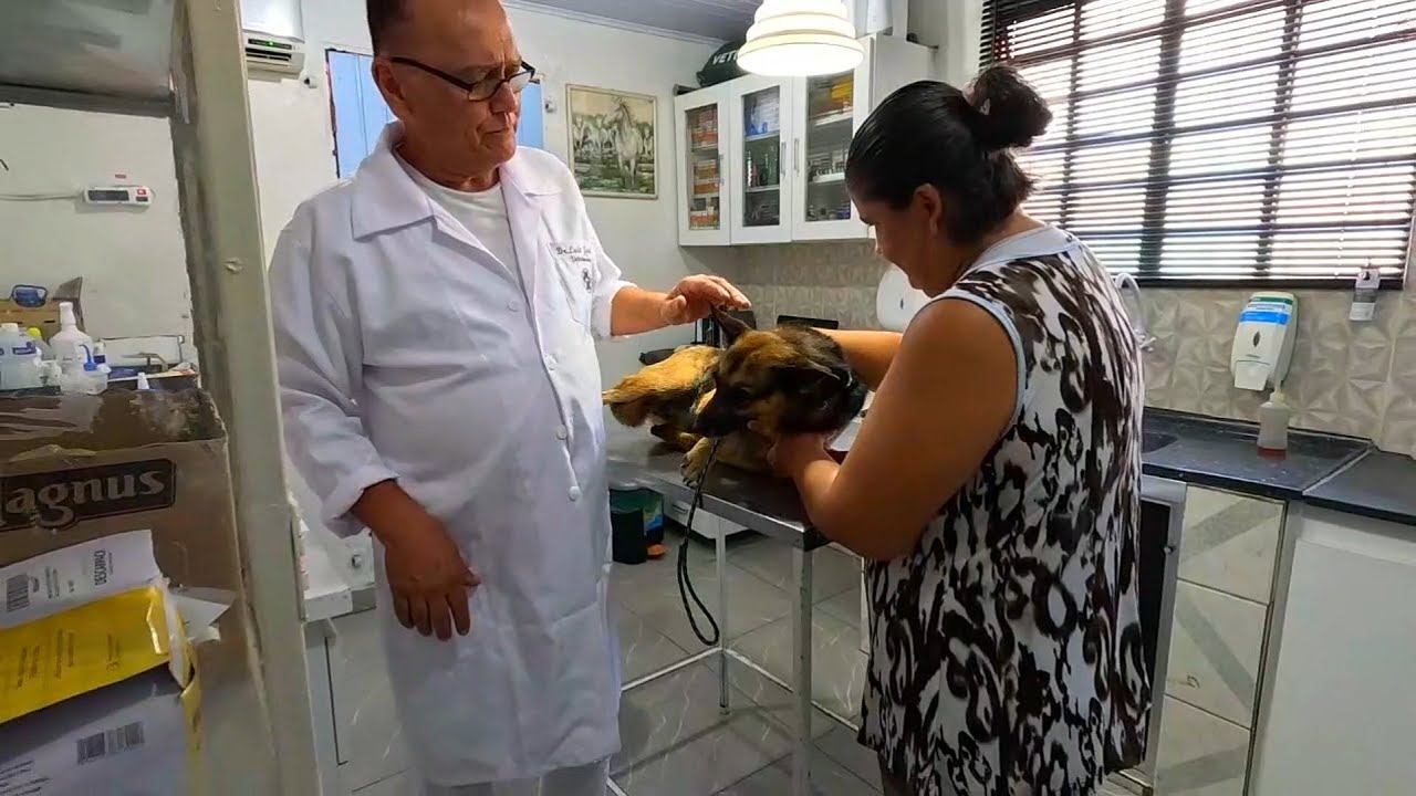 🚨PRESCIZAMOS LEVAR ELA AS🚨 PRESSA  PARA O MEDICO