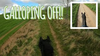 NEW BRIDLEPATH! YODA GALLOPS OFF | GoPro