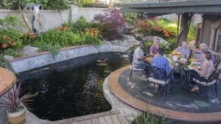 Concluding Thoughts. Building the perfect koi pond