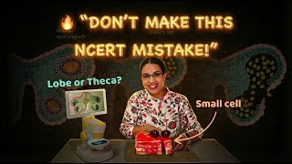 Anther Structure + Pollen Development Simplified | NCERT Class 12