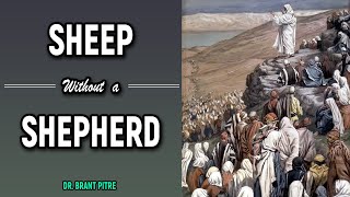 Sheep Without a Shepherd by Catholic Productions 8,800 views 1 year ago 8 minutes, 20 seconds