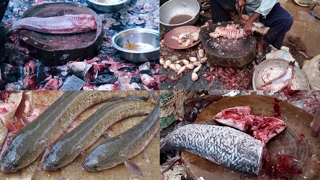 Top 10 Amazing Fish Cutting Collection Live Fish Cutting Styles