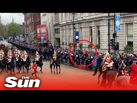 Horse crashes into barrier during royal procession after King's coronation
