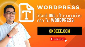 วิธีแก้ URL เป็นภาษาต่างดาว ใน wordpress