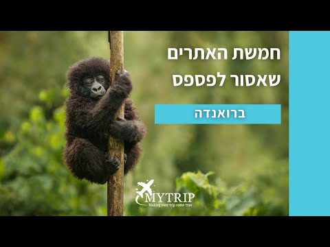 וִידֵאוֹ: גבון היא מדינה במרכז אפריקה: תיאור. תנאים טבעיים