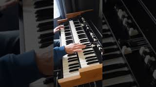 GREEN ONIONS ORGAN JAM #Shorts