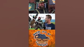 1 Duck or 100 Horses #funnyshorts #podcastshorts #comedy #bluecollar #ducks #horse