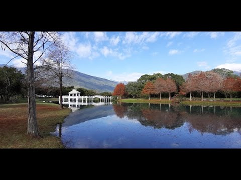 202307兆豐農場最新簡介