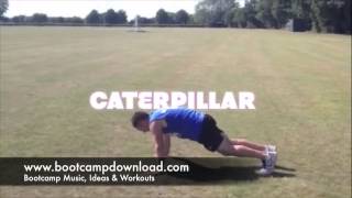 Animal Workout Theme For Bootcamp Ideas