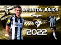 Welinton jnior 2022