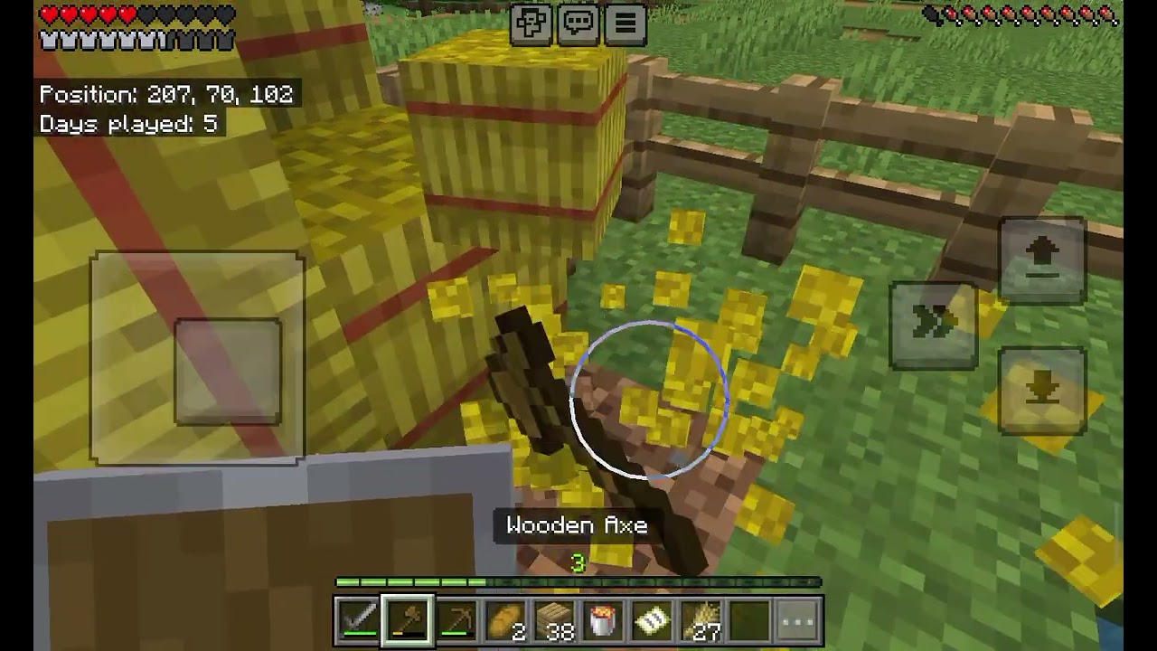 The beginning of my world