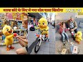 बतख ने छोटे के लिए ले गया एक प्यारा सा बोल PART 20 #cartoon #shera #hindistories #kahani