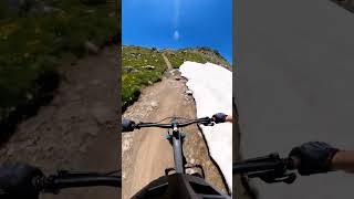 Epic Alpine MTB Ride: Wildflowers, Snow &amp; Insane Trails!